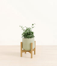 Load image into Gallery viewer, Turquoise stand:bamboo