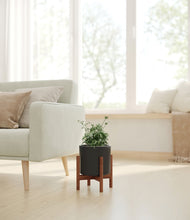 Load image into Gallery viewer, Black stand:walnut