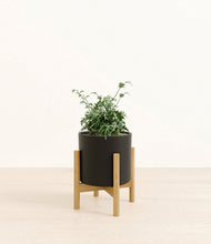 Load image into Gallery viewer, Black stand:bamboo