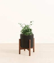 Load image into Gallery viewer, Black stand:walnut
