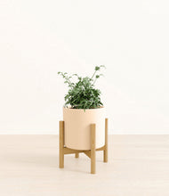 Load image into Gallery viewer, Cream stand:bamboo