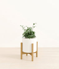 Load image into Gallery viewer, White stand:bamboo
