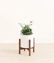 Load image into Gallery viewer, White stand:walnut