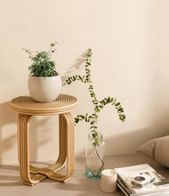 Load image into Gallery viewer, Shiny EggWhite