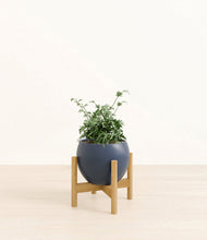 Load image into Gallery viewer, Deep Navy stand:bamboo