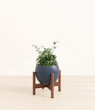 Load image into Gallery viewer, Deep Navy stand:walnut