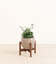 Load image into Gallery viewer, Desert Brown stand:walnut