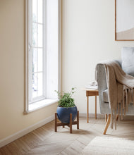 Load image into Gallery viewer, Deep Navy stand:walnut