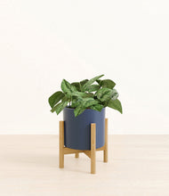 Charger l'image dans la galerie, Deep Navy stand:light