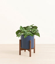 Charger l'image dans la galerie, Deep Navy stand:dark