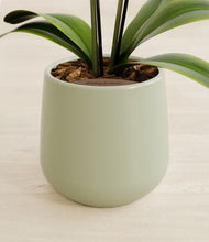 Load image into Gallery viewer, Turquoise stand:all