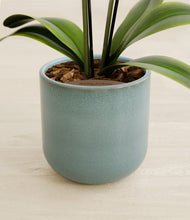 Load image into Gallery viewer, Reactive Aqua stand:all