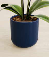 Load image into Gallery viewer, Twilight Blue stand:all