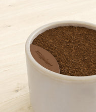 Load image into Gallery viewer, -