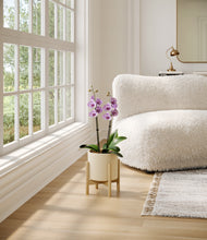 Load image into Gallery viewer, Cream stand:bamboo