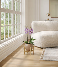 Load image into Gallery viewer, Desert Brown stand:bamboo