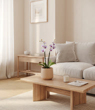 Load image into Gallery viewer, -