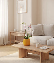 Load image into Gallery viewer, Mustard