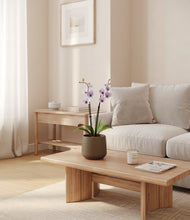 Load image into Gallery viewer, Olive