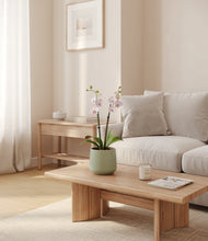 Load image into Gallery viewer, Turquoise