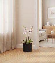 Load image into Gallery viewer, Black