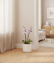 Load image into Gallery viewer, White