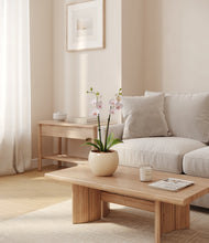 Load image into Gallery viewer, Shiny EggWhite