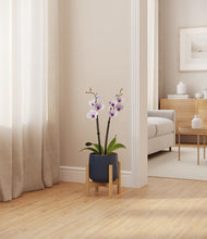 Load image into Gallery viewer, Deep Navy stand:bamboo