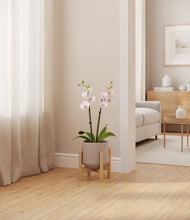 Load image into Gallery viewer, Eternal Gray stand:bamboo