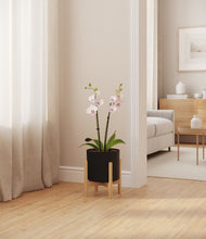 Load image into Gallery viewer, Black stand:bamboo