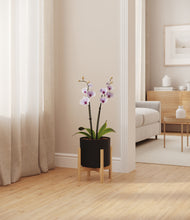 Load image into Gallery viewer, Black stand:bamboo