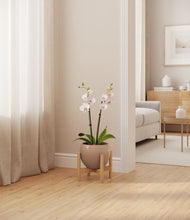 Load image into Gallery viewer, Desert Brown stand:bamboo