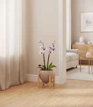 Load image into Gallery viewer, Desert Brown stand:bamboo