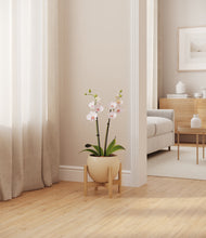 Load image into Gallery viewer, Shiny EggWhite stand:bamboo