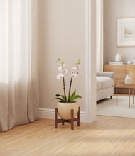 Load image into Gallery viewer, Shiny EggWhite stand:walnut