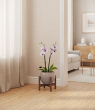 Load image into Gallery viewer, Winter Clouds stand:walnut