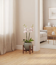 Load image into Gallery viewer, Deep Ocean stand:walnut