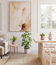 Load image into Gallery viewer, Sandy