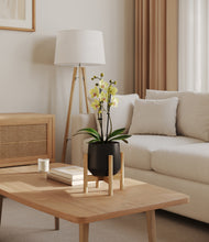 Load image into Gallery viewer, Black stand:bamboo