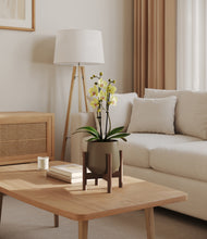 Load image into Gallery viewer, Olive stand:walnut