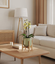 Load image into Gallery viewer, Turquoise stand:bamboo