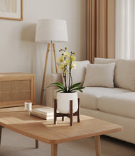 Load image into Gallery viewer, White stand:walnut