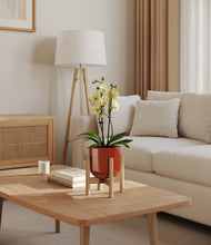 Load image into Gallery viewer, Glossy Red stand:bamboo