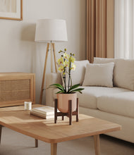 Load image into Gallery viewer, Sandy Pink stand:walnut