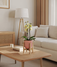 Load image into Gallery viewer, Striped Rose Pink stand:bamboo