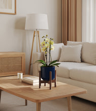 Load image into Gallery viewer, Twilight Blue stand:walnut