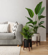 Load image into Gallery viewer, Orca stand:two_stands