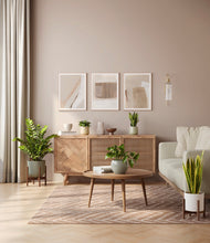 Load image into Gallery viewer, -