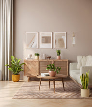 Load image into Gallery viewer, -