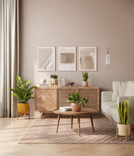 Load image into Gallery viewer, -